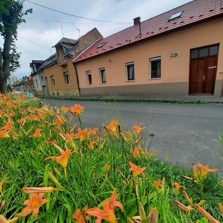 Kis Rigo Vendeghaz Hotel Salgótarján Eksteriør billede